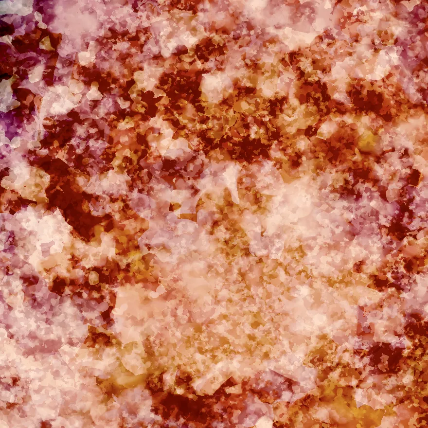 A few dozen separate grains in orange and pink, each an irregular translucent shape, with finer grain under them.