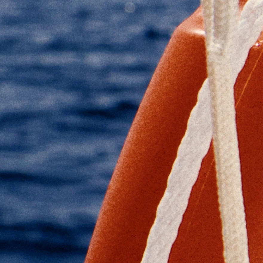 The life ring's edge and its ropes with fine grain.