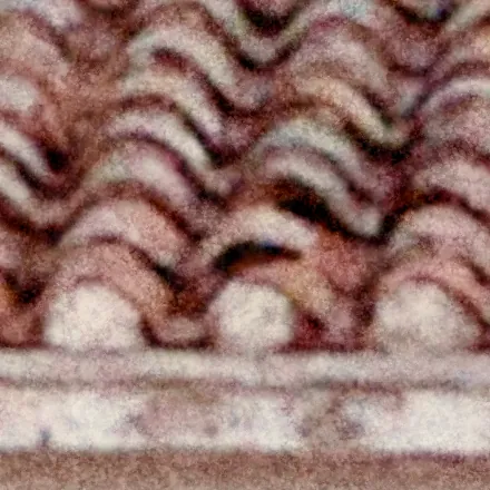 Medium grain.