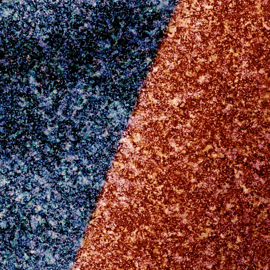 The ring's edge against the sea, broken into grains.